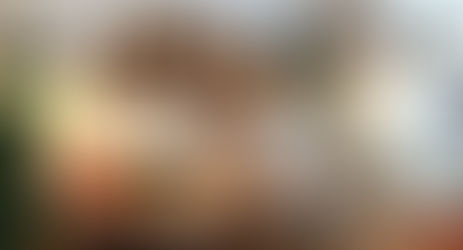 Huur goudvis Blub een nachtje als kamergenoot bij Townhouse Design Hotel Maastricht