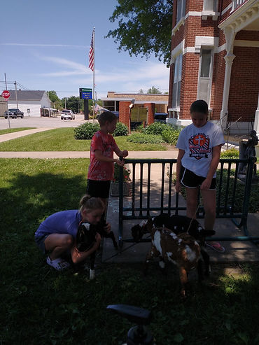 chalk, bubble and goats.jpg