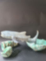 20230509_154735_edited.jpg