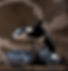orca_edited_edited.jpg
