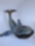 20230310_084812.jpg