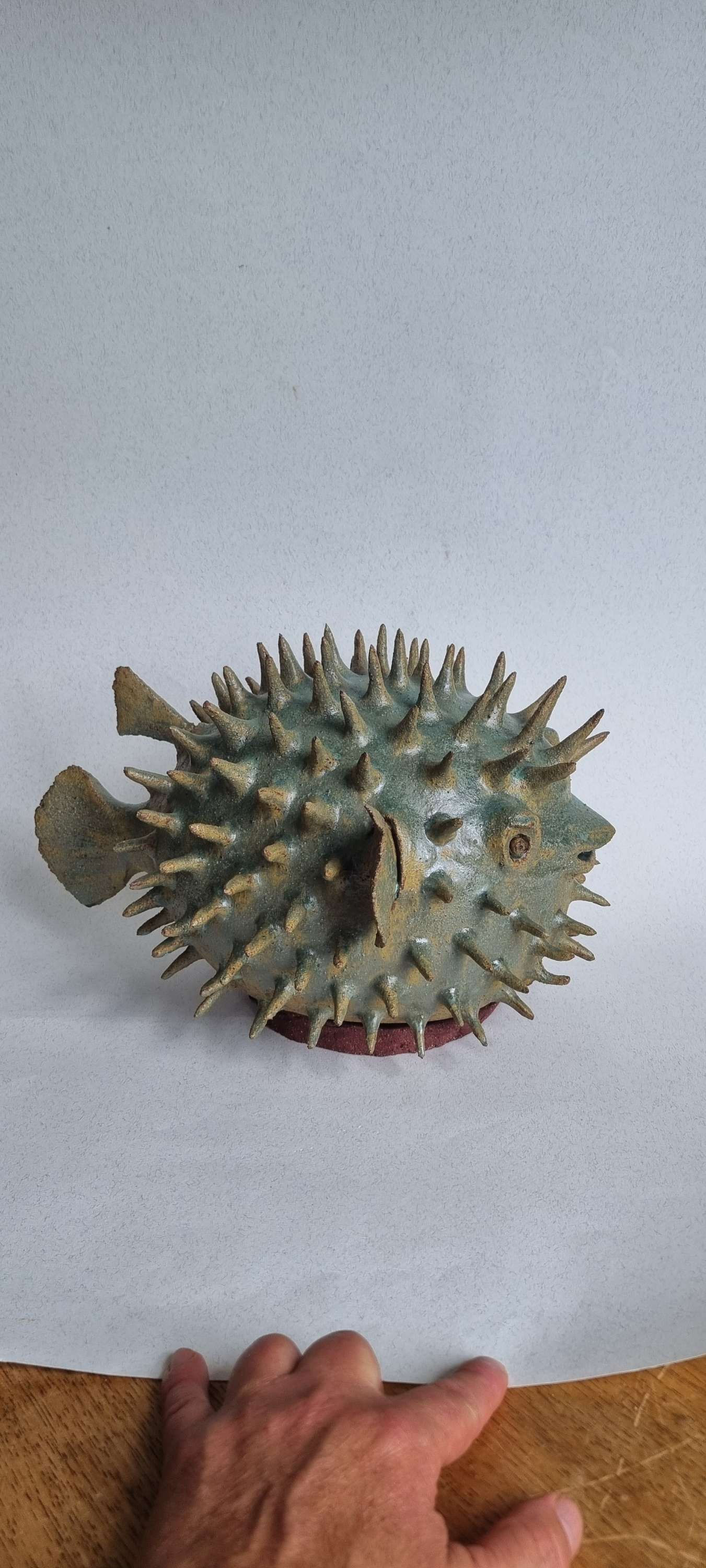 Diodon - Puffer fish