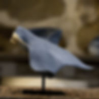 manta_ray_middle_edited.jpg
