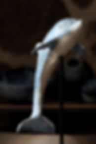 dolphin_edited.jpg