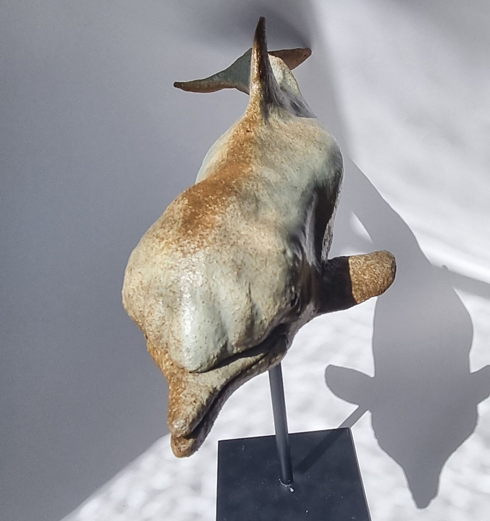 Miniature : Dauphin  - Dolphin 