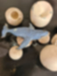 20230619_113421.jpg