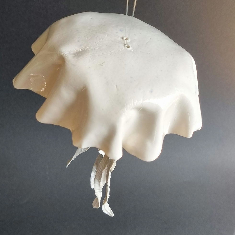 Miniature : Méduse 12