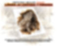 imagen identificativa de producto de la campaña de crowdfunding