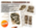 imagen identificativa de producto de la campaña de crowdfunding