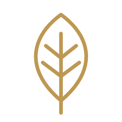 gold-line-leaf.png