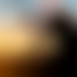 Você é seu melhor projeto: Dê o primeiro passo hoje