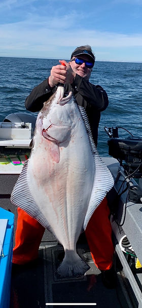 Halibut