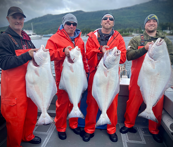 Alaska Halibut