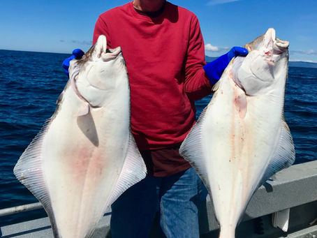 A little fishing and a lot of catching....