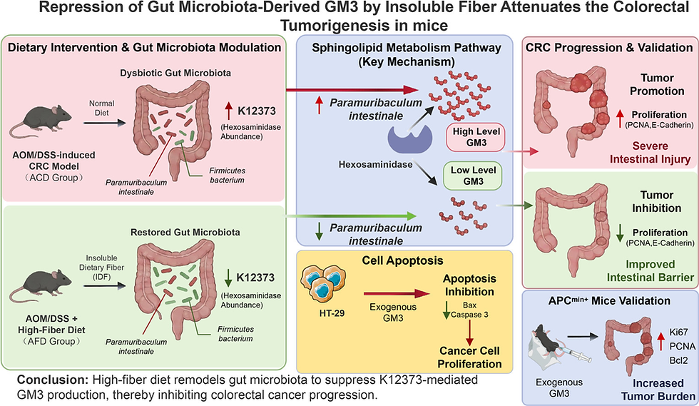 How Insoluble Dietary Fiber Reduces Colorectal Cancer Risk by Suppressing Gut Microbiota-Derived GM3