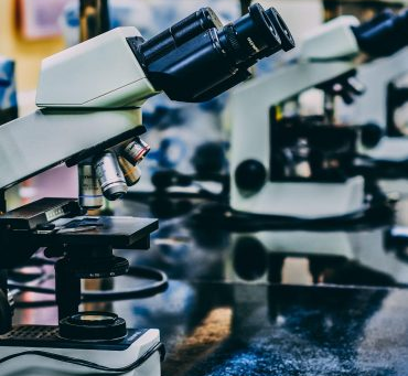 David Ojcius: on Lifelong Learning as a Researcher