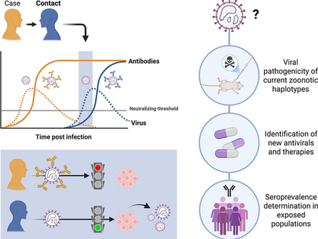 New Andes virus isolate haplotype obtained during prospective close contacts follow-up of an Hantavirus cardiopulmonary syndrome fatal case, Chile