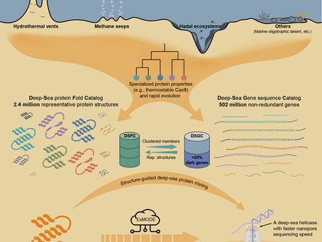 The genetic repertoire of deep-sea microbiome: From sequence to structure and function