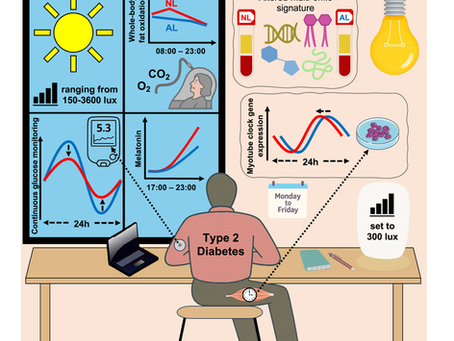 Natural daylight during office hours improves glucose control and whole-body substrate metabolism