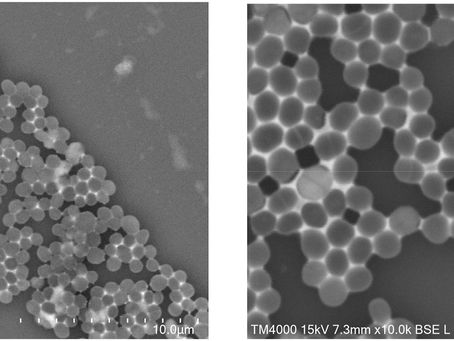 Genomic description and characterization of Nigeribacterium massiliense gen. nov., sp. nov., isolate