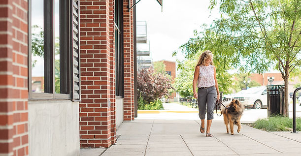loyal-start-dog-training_head-shots_business-photo-session_light-and-airy_madison-wisconsi