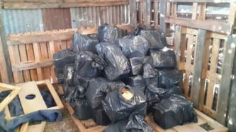 Secuestraron más de 1200 kilos de marihuana muy cerca en donde se desarrolla la Fiesta de Disfraces.