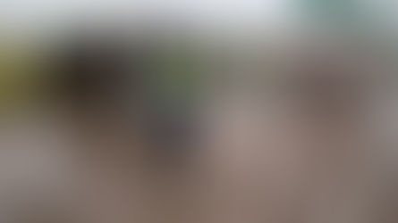 Mueren tres personas al volcar un micro en la Autovía 14.