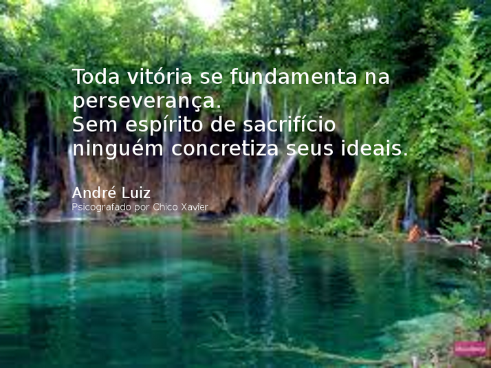 Reflexão Diária: Perseverança