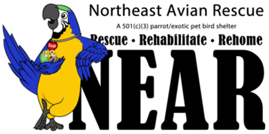Webp.net-resizeimage.png