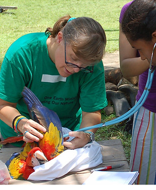 teaching villagers cropped.jpg