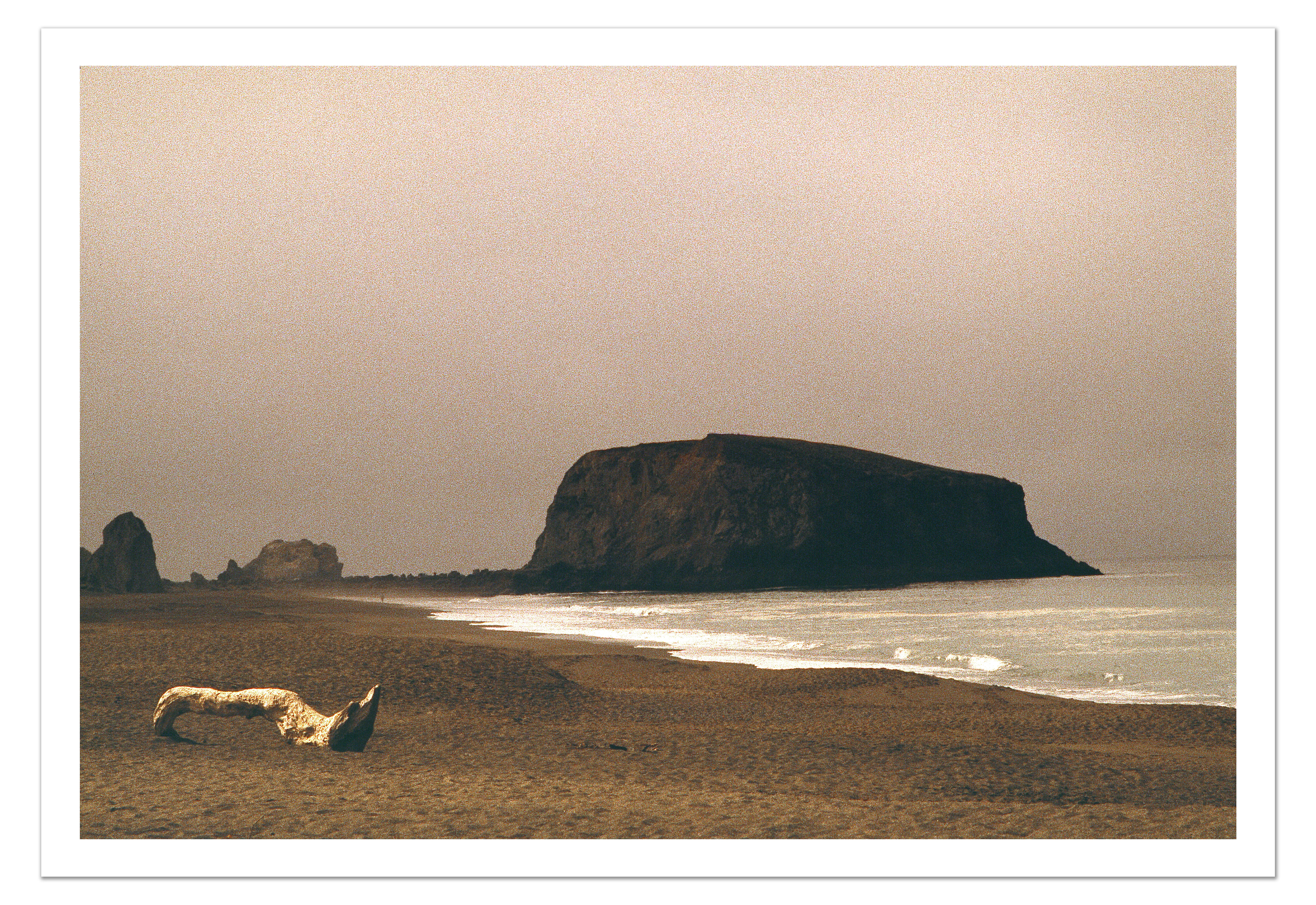 Driftwood