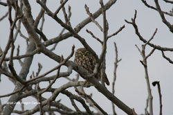 Exposición Alquimia de Luz