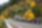 shutterstock_2389316819 (Small).jpg