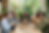Firefly_Gemini Flash_add in a laptop and notebook. have woman wearing green sweater wear a