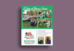 Rogue's Farm Flyer.jpg