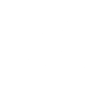 White Flower of Life.png