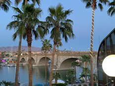 boat, boating, lake, river, Havasu, Arizona, power sports, London bridge, channel, jet ski, camping, fun, summer, palm tree, hot air balloon 