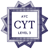 AYC-CYT-L3(1).png