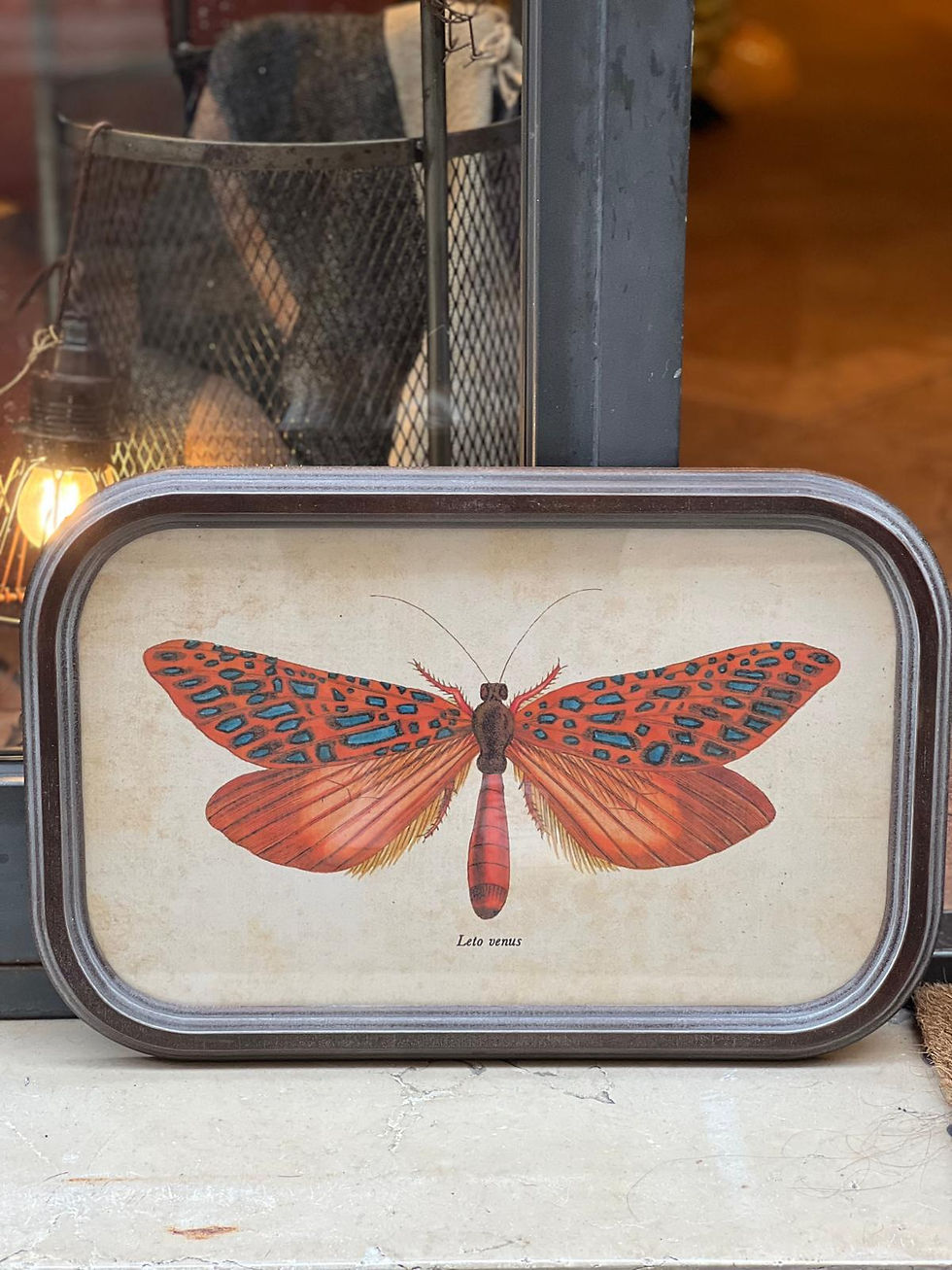Miniatura: Quadro in metallo stondato "Pappilous"