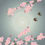 Miniatura: Poster SAKURA