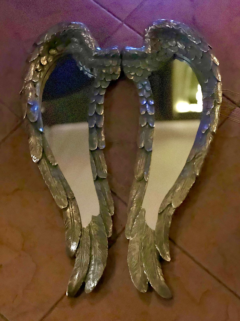 Miniatura: Coppia di ali a specchio oro e patina