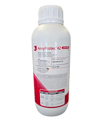 Amyprotec_edited.png