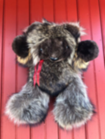 Teddy bear raccoon/ beaver
