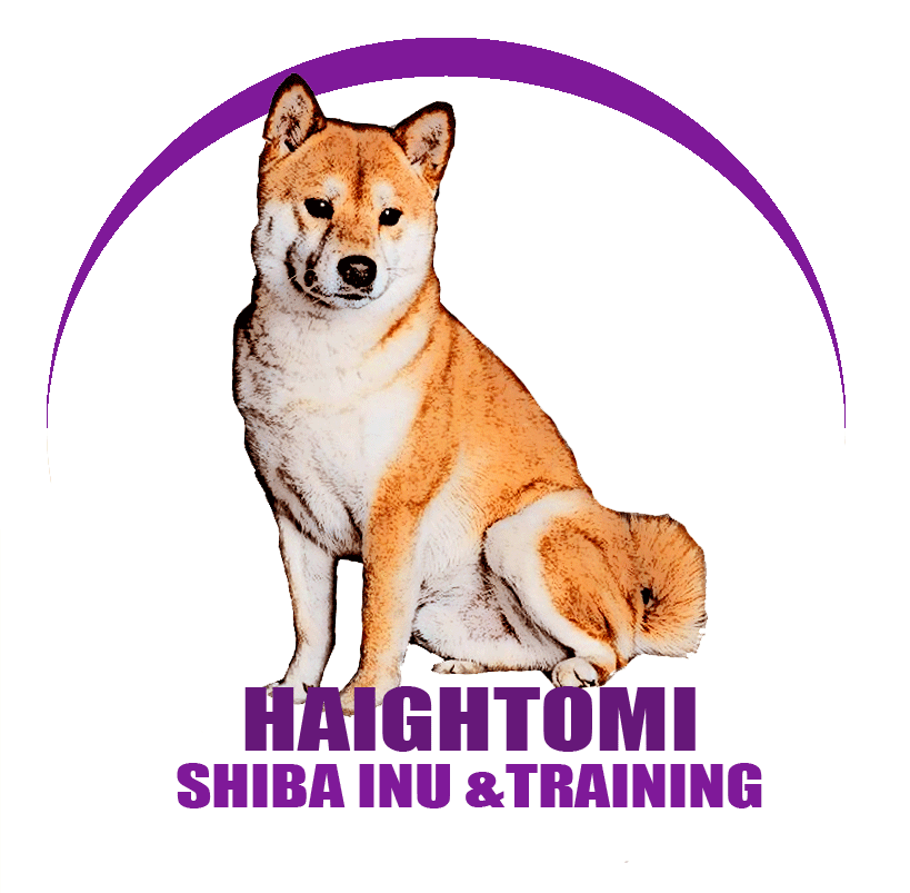 Logopurple.gif