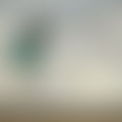 Making Sense of The Senseless: On Dreaming & Death