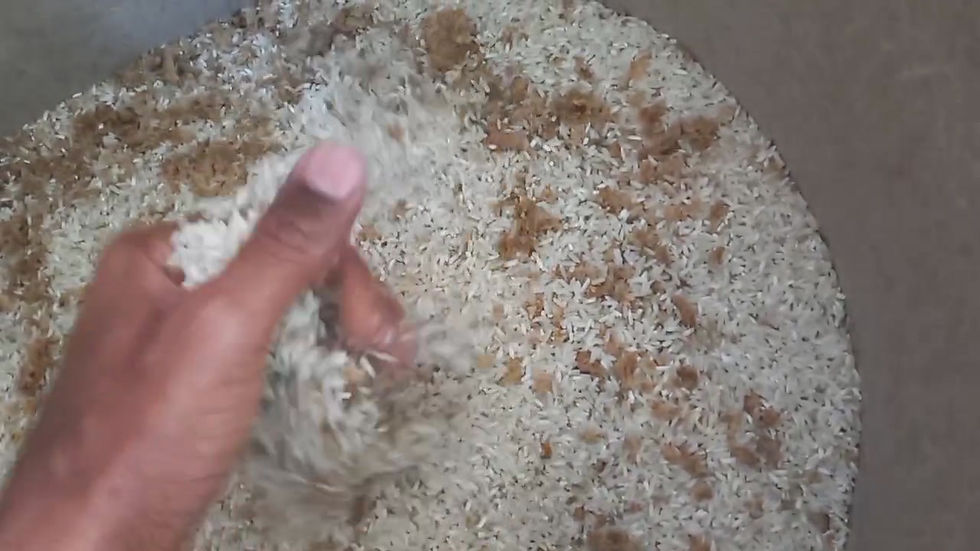Thumbnail: Pet Food | Biryani Rice mixed with Weetabix