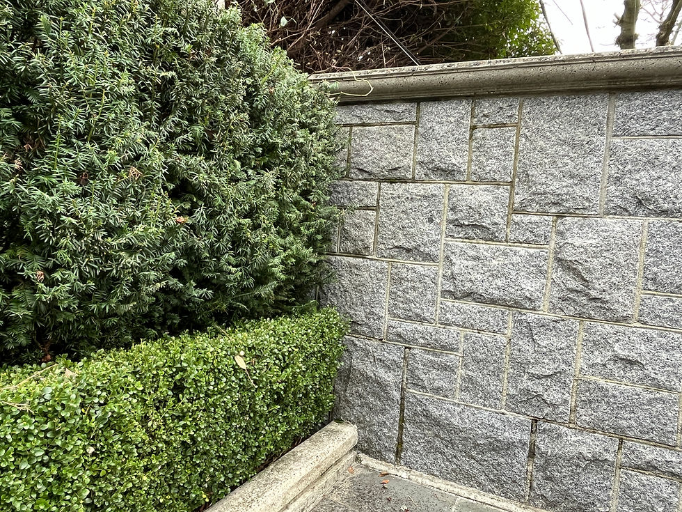AN EFFECTIVE LANDSCAPE DESIGN WITH BOXWOOD AND YEW HEDGES