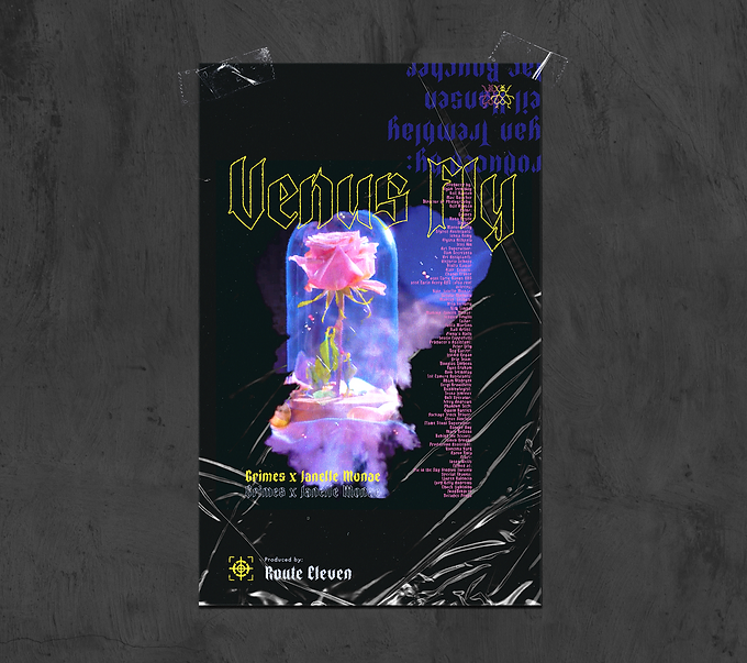 Venus Fly Mockup(horizontal).png