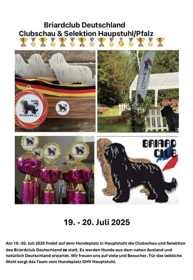 Briard-Schau 2025