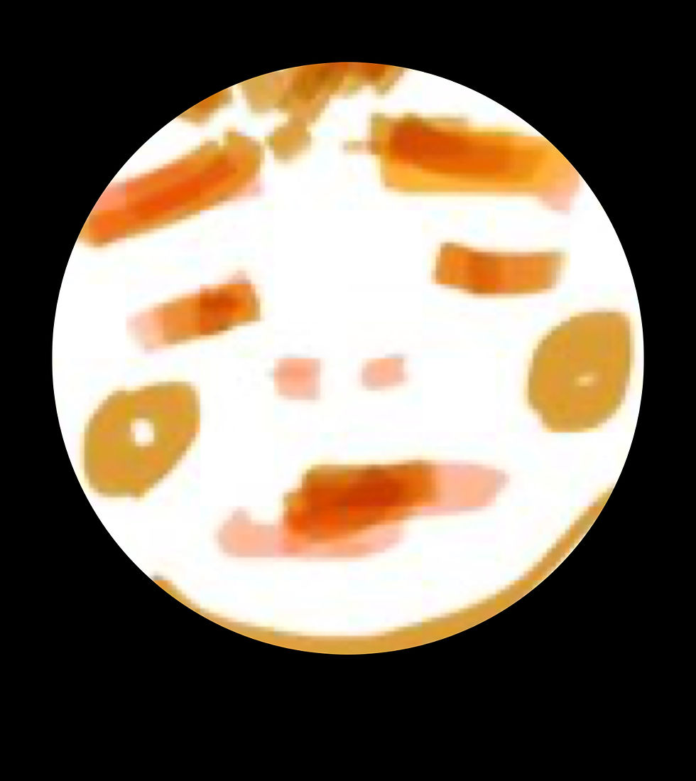 乳輪火山てんちょー剛田